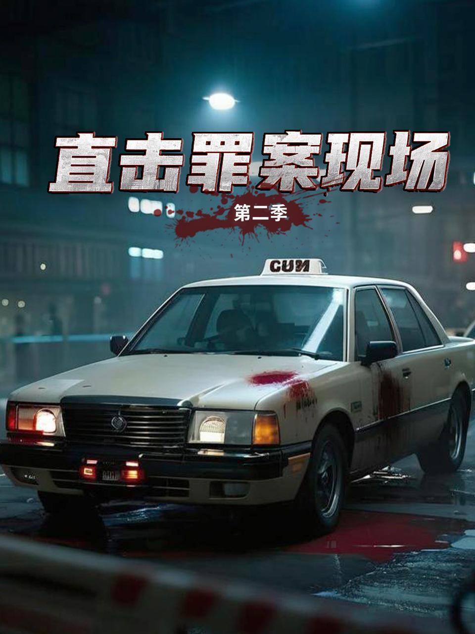 直击罪案现场第二季