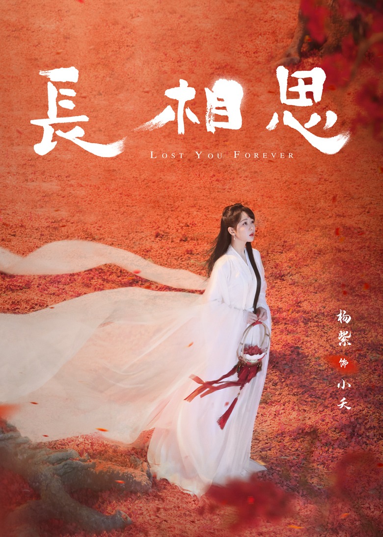 长相思全季